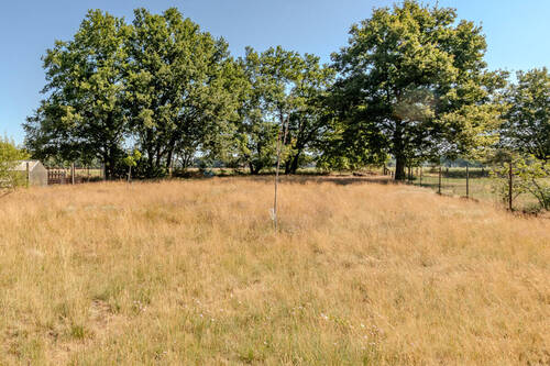 IMG-43 - 