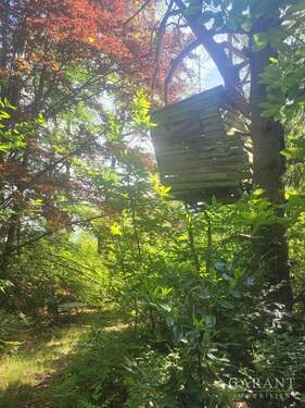 Baumhaus - Idyllisches Baugrundstück umgeben von Natur