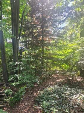 Ausschnitt Grundstück - 