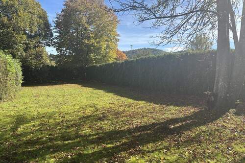 Gartenfläche - 7 Zimmer Einfamilienhaus zum Kaufen in Tuttlingen