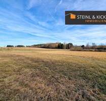 Grundstück in naturnaher Umgebung - Freihung Tanzfleck