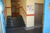 Bild - 
