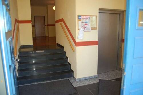 Bild - 