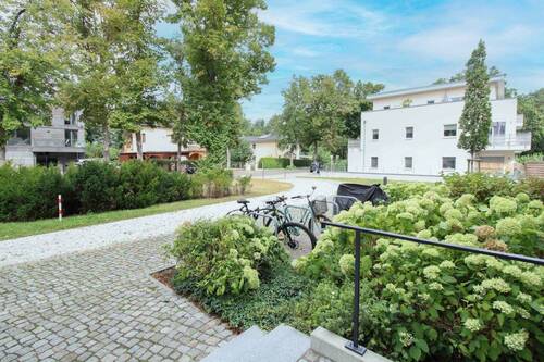 Vorhof - 