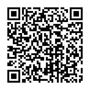 QR-Code - 