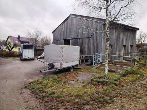 Ansicht Stallung - 