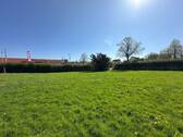 IMG_6184 - 