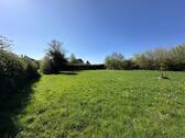 IMG_6173 - 
