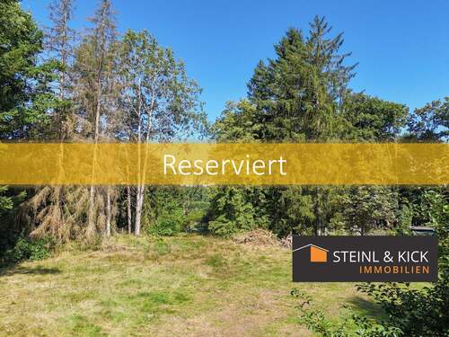 Baugrundstück in Hirschau - Naturnah wohnen in Hirschau – Baugrundstück ohne Bauzwang