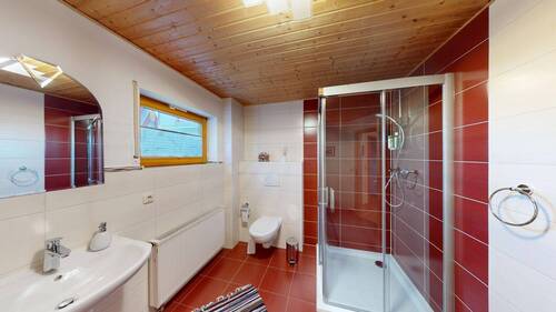 Tageslichtbad mit Dusche im Keller - 