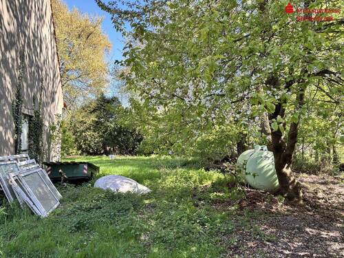 Garten (Süden) - 