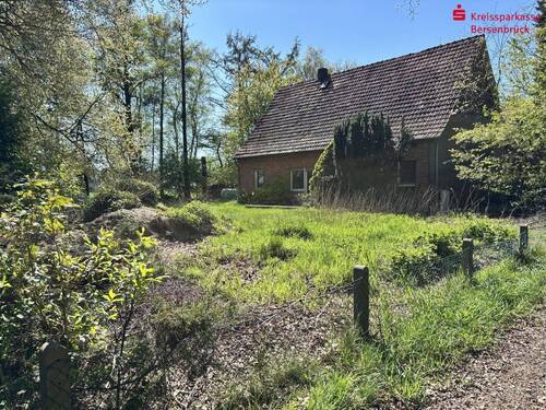 Ostansicht Vorgarten - 5 Zimmer Einfamilienhaus in Voltlage