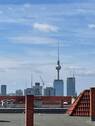 IMG_4333 - 