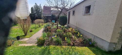 20250402_132030.jpg - 