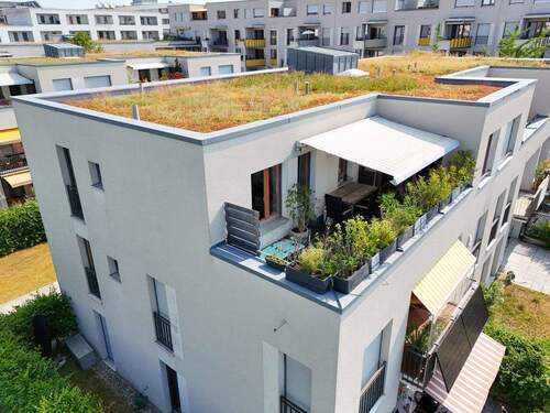 Blick zur Terrasse - 