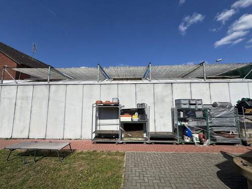 Seitenansicht - 