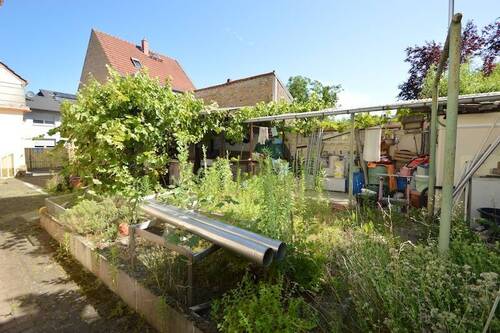 Hof-/Garten Impressionen - 