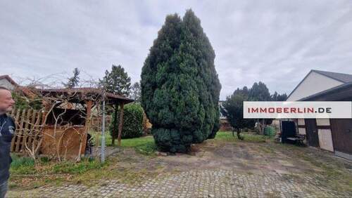 4.jpg - 1 Zimmer Mehrfamilienhaus, Wohnhaus zum Kaufen in Nauen