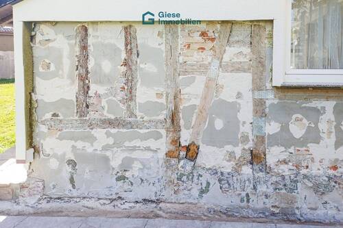 Hausschwamm betroffene Stelle - 