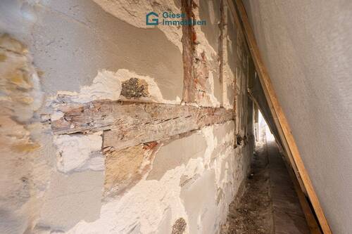 Hausschwamm betroffene Stelle - 