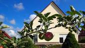 Bild 11 - 