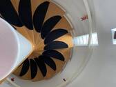 Wendeltreppe - 