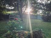 Garten - 