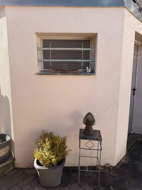 Kellerfenster - 