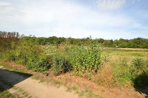 Top Rand-/Grünlage - 5 Zimmer Bungalow zum Kaufen in Mörfelden-Walldorf / Walldorf