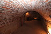 IMG_3984 - 