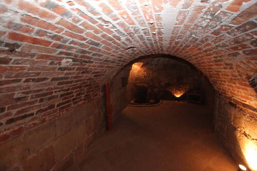 IMG_3984 - 