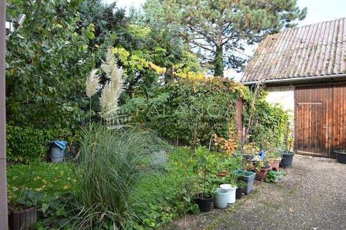 Garten mit Garageneinfahrt - 
