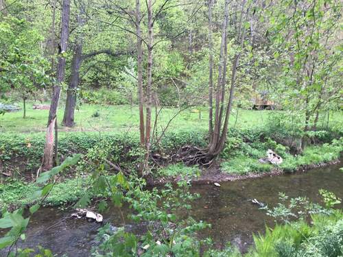 Blick Stadtpark - Baugrundstück in zentraler Lage in Werdau mit Blick in den Stadtpark