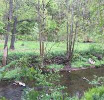 Baugrundstück in zentraler Lage in Werdau mit Blick in den Stadtpark