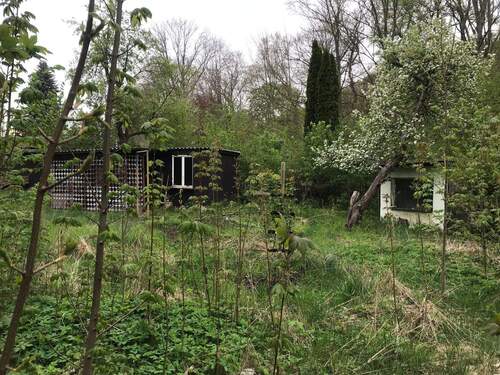 Blick im Grundstück links - 