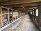 Stall - 
