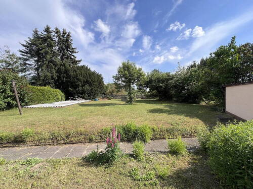 Blick in den Garten - Einfamilienhaus mit 108,00 m&sup2; in Dresden zum Kaufen