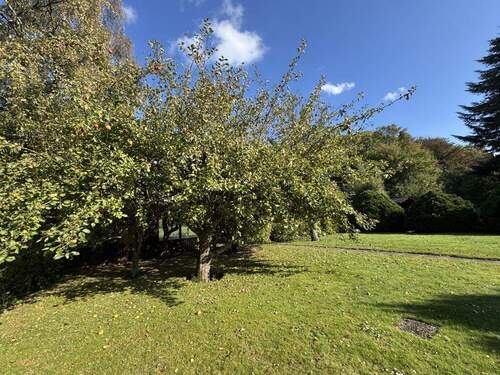 Garten - 
