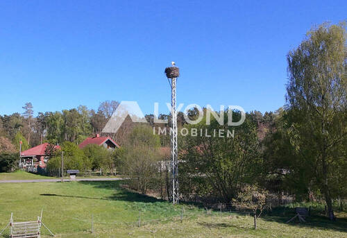 Storchennest - 
