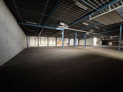Lager für DBS 2 - Halle zur Miete in Pr. Oldendorf