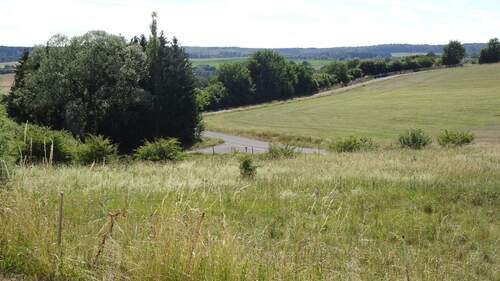 Umgebung - Mehrfamilienhaus, Wohnhaus mit 50,00 m&sup2; in Blankenheim zum Kaufen