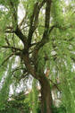 Bild10 - 