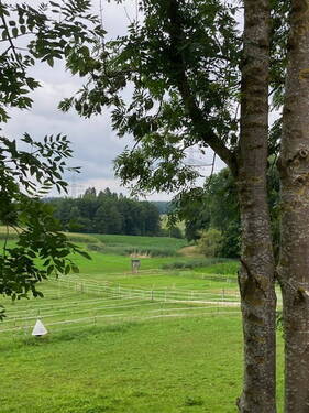 Blick vom Platz Richtung Wald - 