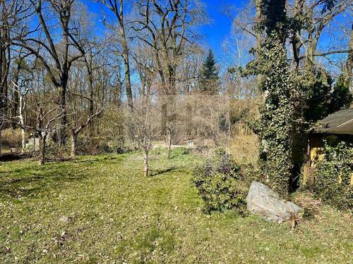 angrenzend am Branitzer Park - 