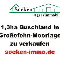 Buschgrundstück in Moorlage zu verkaufen HF2308a - Großefehn Aurich-Oldendorf
