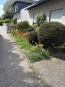 Bild 12 - 
