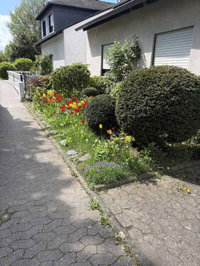 Bild 12 - 