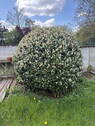 Bild 14 - 