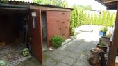 Schuppen - 