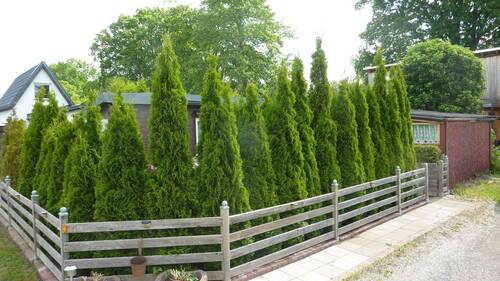 Seitenansicht - 